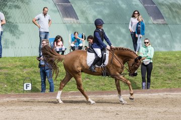Bild 99 - Pony Akademie Turnier